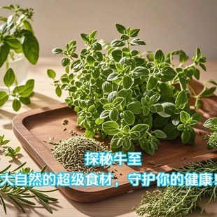 Thyme, Oregano, Rosemary, Basil Seeds Potted Green Plants for Balcony, Edible Lemon Balm All Seasons