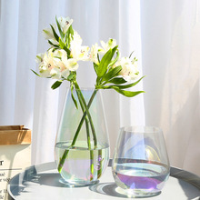 欧式创意玻璃花瓶插花干花器水培瓶客厅装饰品摆件龙蛋颜色鲜花