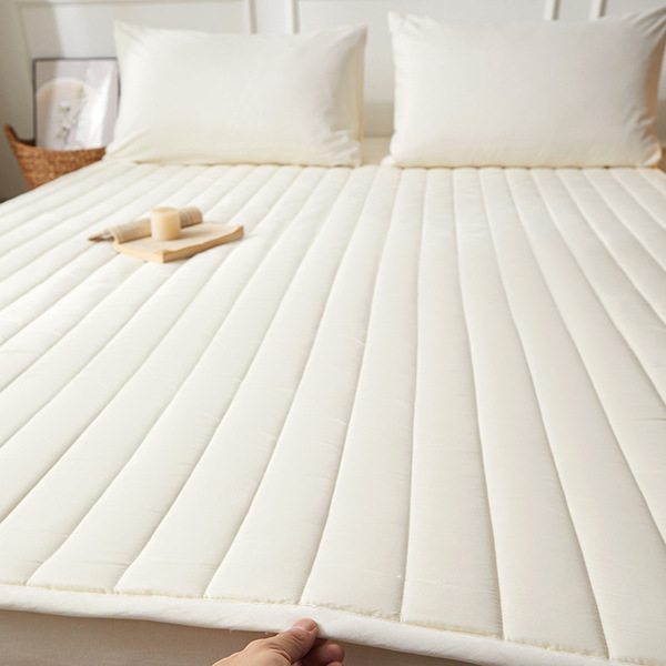 Cross-Border Single Mattress Soft Cushion Anti-Slip Dirt-Proof Simmons Protective Pad for Home Dormitory Breathable Antibacterial and Anti-Mite