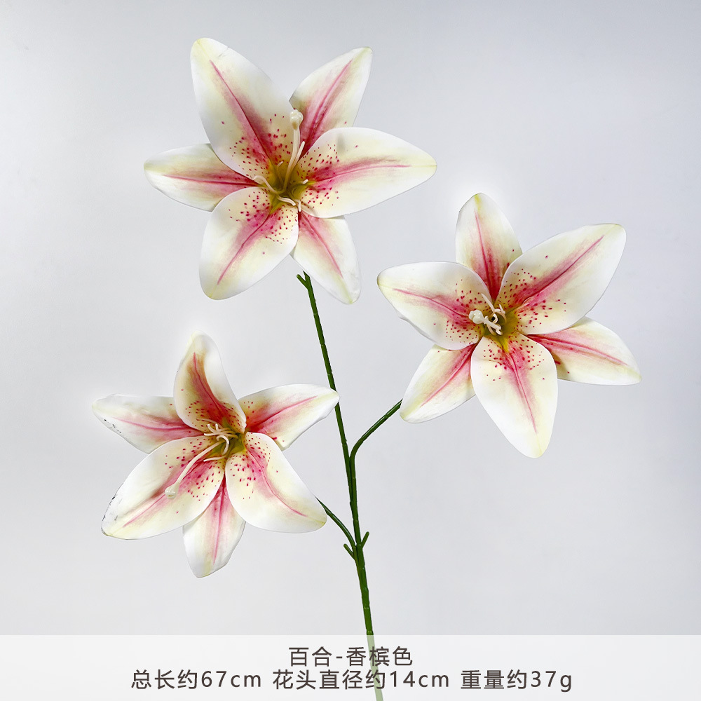 YM2-百合-香槟