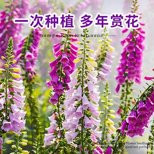 �����첥ͥԺ�������Ȼ��ܶ����_���ͺ�ë���S�N������S����