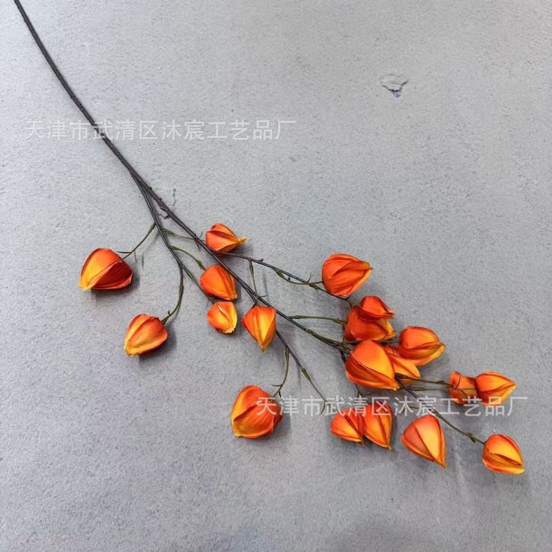 仿真灯笼果婚庆布景插花软装花泡沫木棉果艺商场陈列装饰拍摄道具|undefined