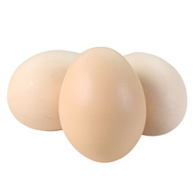 【厂货通】顺丰新鲜谷物蛋 农家谷物喂养现捡营养鲜鸡蛋鸡蛋代发