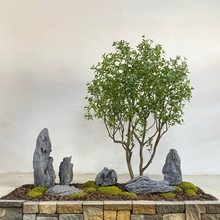 ���^ʯ�^��ɫ��ĭ��ʯ�^ ����Ӣ��ʯ ��ˇ�Ƶ�@�ֹ�������ʯ