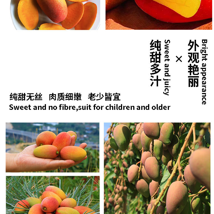 贵妃芒详情图_02