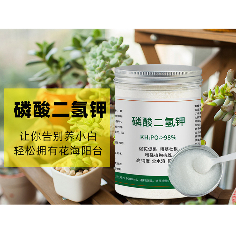 9de1c2fd-232d-46b0-83fb-c798c397e57b.jpe