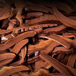 �����x��Ƭ���`֥Ƭ���`֥���`֥�����ݲ��Ҝ��L��ɽҰ���`֥�ݾ�