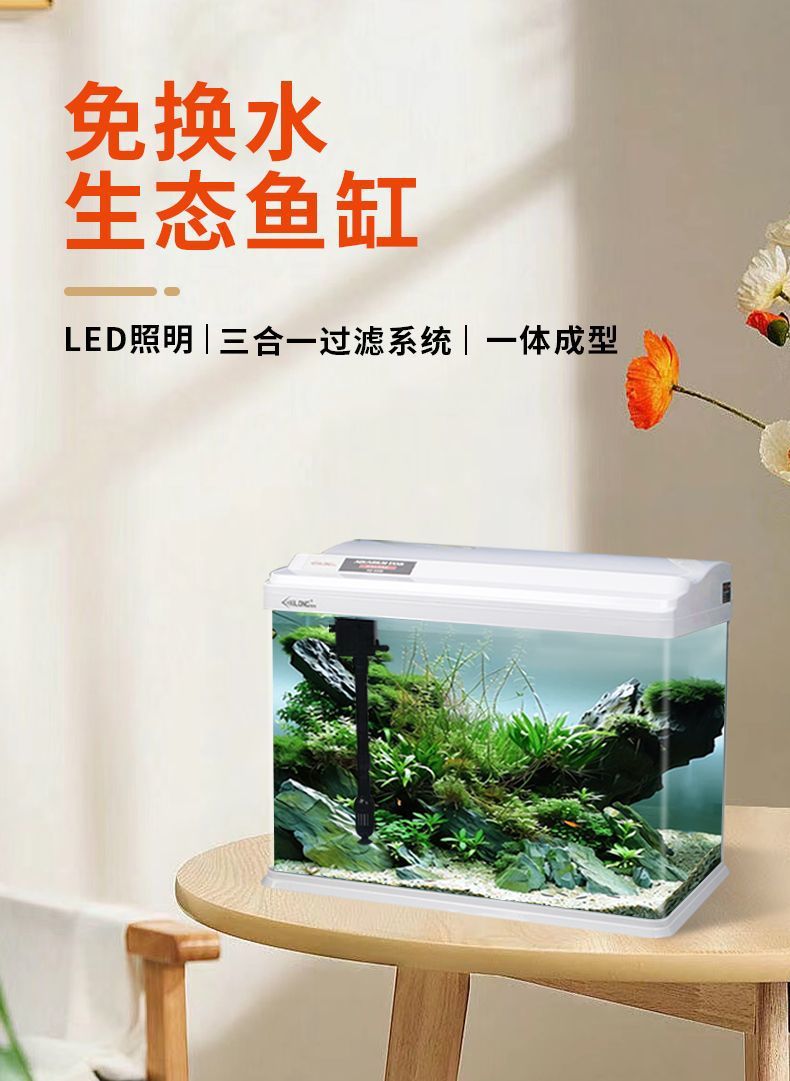 8dc22586-331b-4c84-b4a9-887184503f42.jpe