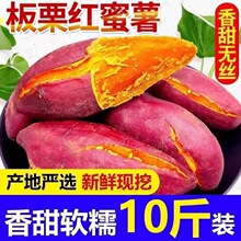ɳ�س������������t�����r���������S�ļt���t�����ϼt�����t��