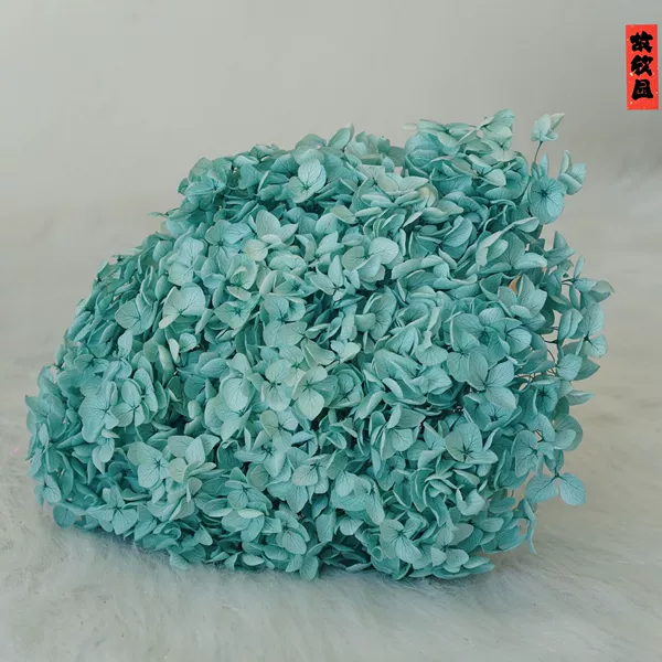 Xinqiao color/branch