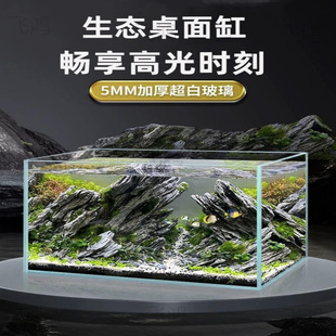 Ultra-White Glass Fish Tank Small Living Room Ornamental Fish Landscaping Hydroponic Plants Turtle Household Square Tank Ecological Tank