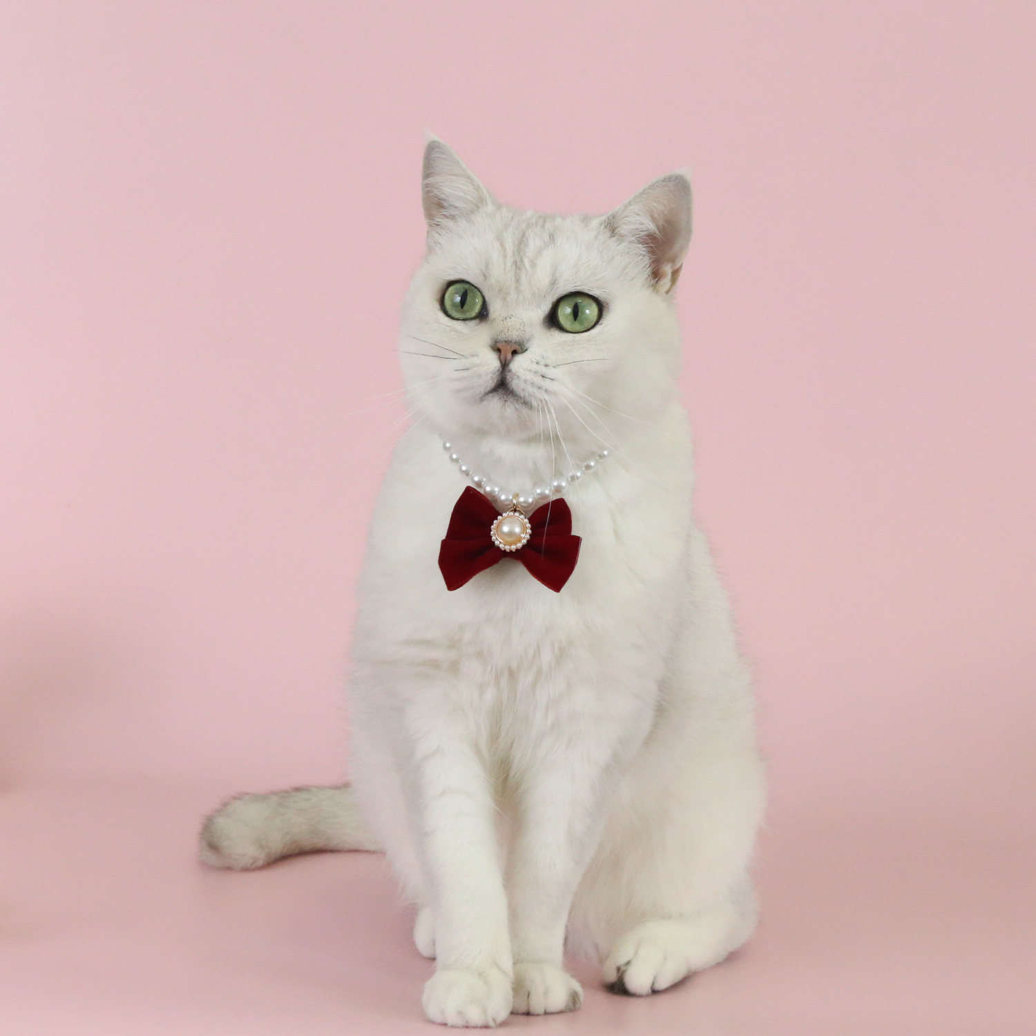Perla de seda de mascota collar colgante arco princesa gatos cachorros colgante retro noble collar ajustable