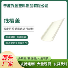 �����w�Ͳ�abs���ͲĔD��pvc�Ͳ����ϼ�ע�ܼӹ�PE���ͼ��D�����l