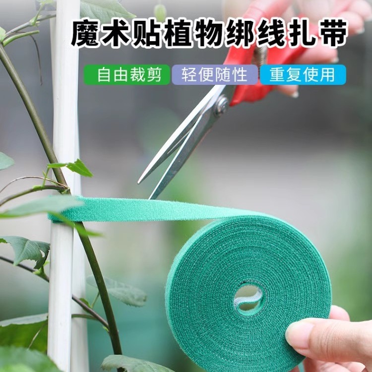 直销绿植造型爬藤园艺魔术贴扎带捆绑带自粘绿色植物树枝插花绑带