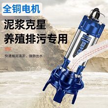 化粪沼气池排污抽泥沙无堵塞工地污抽粪水泵养殖场清淤泥抽泥浆泵