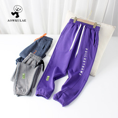 Children's Spring and Autumn Season Korean Version New Boys' Long Pants, Large and Medium Children's Embroidered Casual Ankle Pants, Children's Pants for Dropshipping