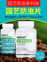 家庭园艺蔬菜防虫片防小黑飞蚜虫白粉虱小菜蛾飞虫家用糖化硼片跨