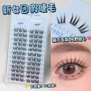 New Korean style women's group aidou series false eyelash book Female natural simulation trilogy single cluster natural lazy comic