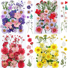�ɻ��滨diy���ϰ����~����ֲ��˱��NĘ����ˮ�����z���|�֙C��