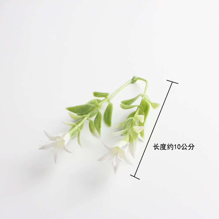 가을 tw-2