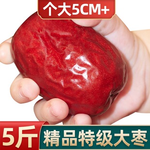 �t��5��������^����؛��ꄱ������坾2/3���t����ʳ�S��