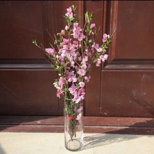 绿植水培新鲜桃花枝真花遇水开花干支花红梅腊梅干枝插水开花泡水