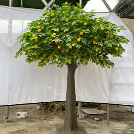 大型仿真柠檬树盆栽假橘子树室内造景装饰仿真桔子树绿植落地摆件