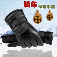 �T�������׶��п�ӽq�Ӻ�ů�|�����L�������������Tʿ��ʿ����