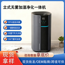 立式无雾加湿净化一体机家用台式杀菌净味净化器消毒机加湿器