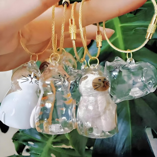 Cat Hair Keychain Transparent Cat Hair Storage Box Cute Cat Hair Storage Capsule Men's and Women's Bag Pendant Pendant