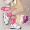 Week socks [Skin -friendly fabric]