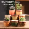 8 fantasy flowerpots