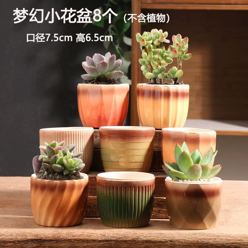 Creative Ceramic Flower Pot, Handmade Factory Direct, Assorted Decorative Designs, Small 7–10 cm