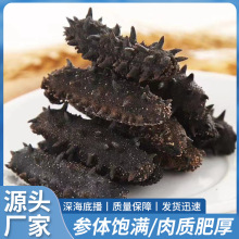 Bخaɺ؛rˮa50g|̅ɢbÿɴl|