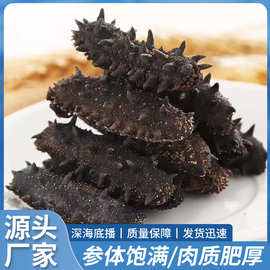 大连海参特产淡干海参干货海鲜水产50g辽刺参散装家用可代发优质