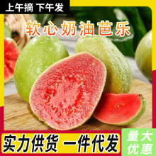 �V���Ř���ʯ�����r����ˮ�����l�t�������Ϳڸ�ܛŴ����������]