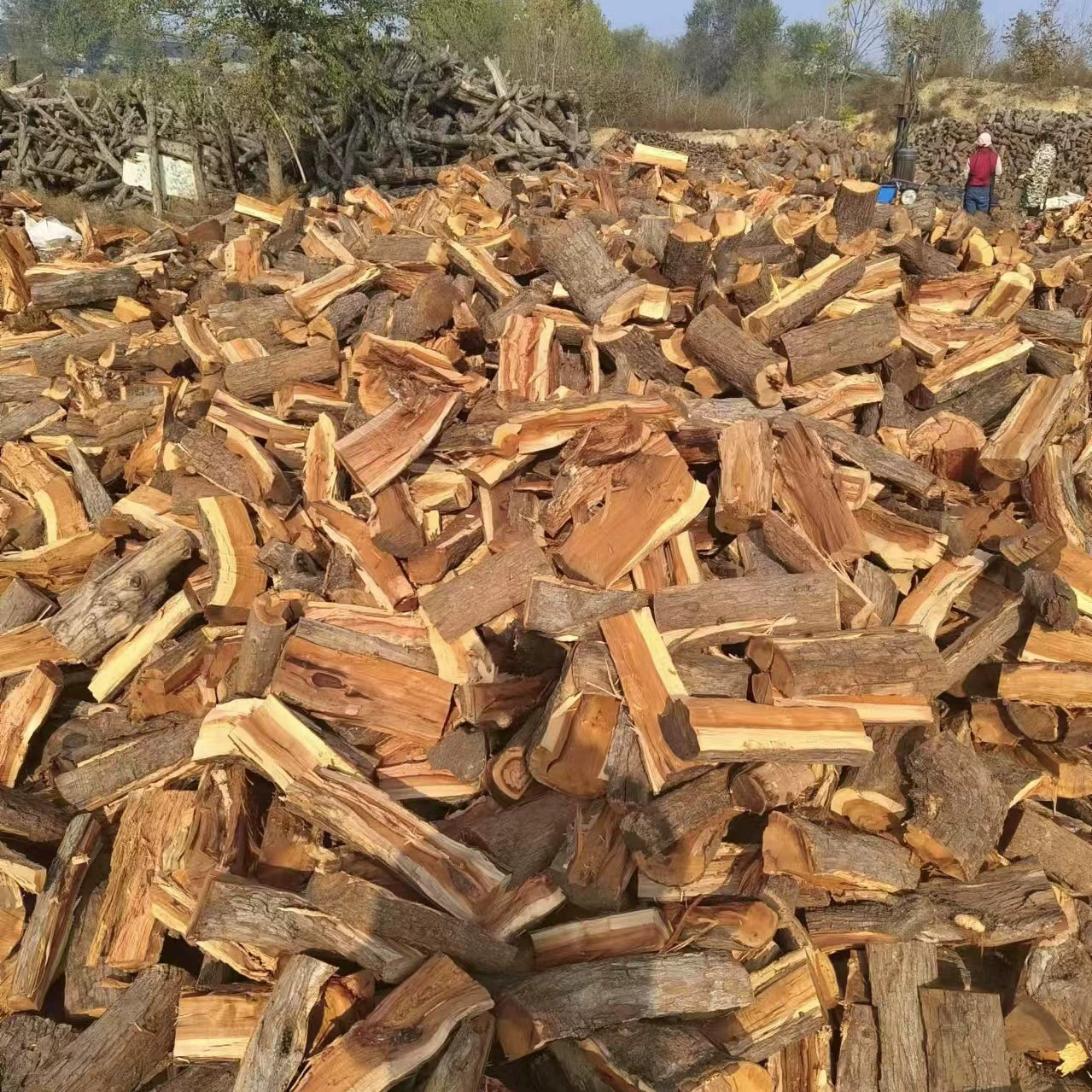 Дрова для костров на открытом воздухе, печей для пикников, каминов, дрова из дерева жужубы для отопления, цельные деревянные дрова.