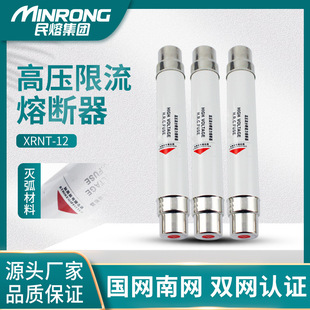 �߉������۔���������׃���U�ܽzXRNT-10/12KV�߷֔�����PT�L���