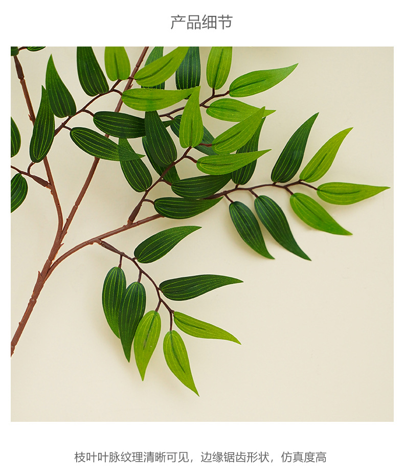 单片沙枣叶-2_11.jpg