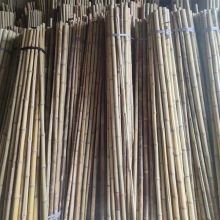 出口日本韩国欧美 白竹批发 竹制竹子加工毛竹子建筑温室大棚菜架