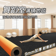 舞蹈室吸音地毯专业楼层隔音减震地垫家用运动防滑静音大面积全铺
