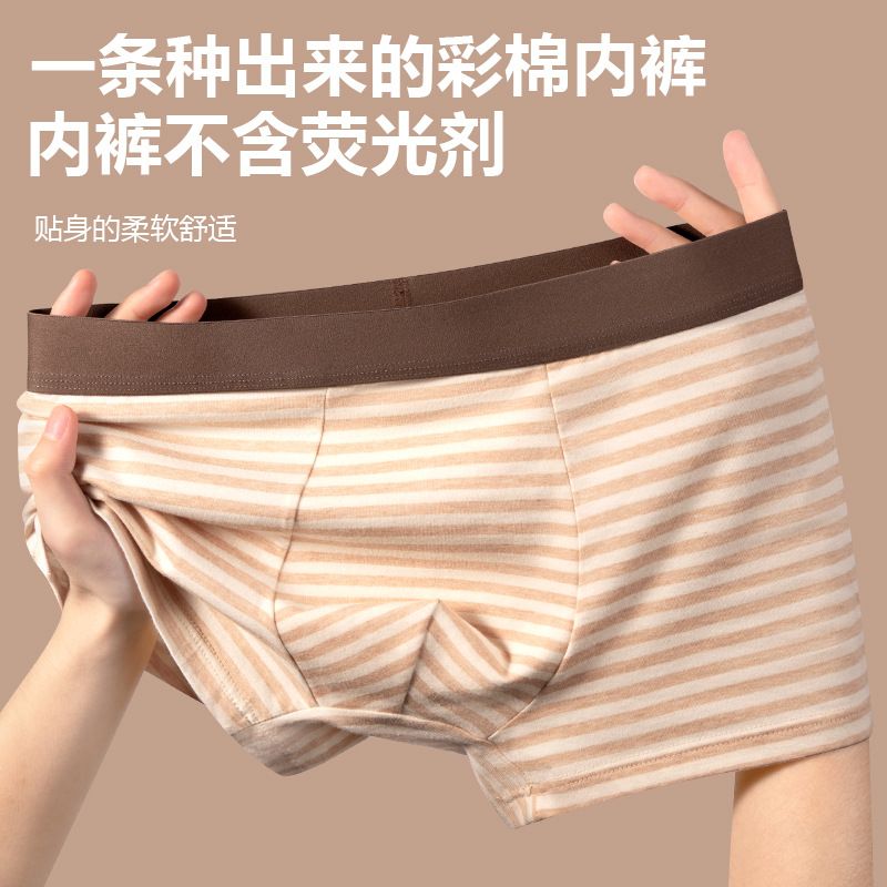 Algodón colorido, pantalones de hombre, algodón puro, entrepierna transpirable, pantalones cortos, pantalones planos, rayas de moda juvenil