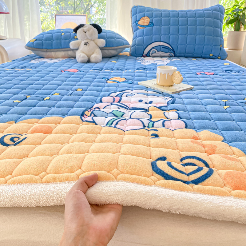 스페이스베어 [A급 항균, 도톰하고 따뜻한]