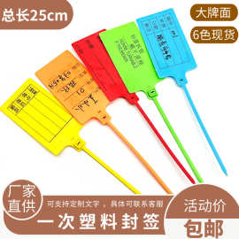25cm一次性塑料封条大号标牌扎带物流吊牌挂签标识牌电缆标签牌