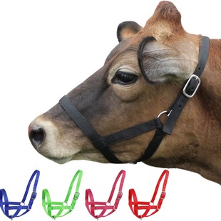 Cross-border Equestrian Supplies Horse Cage Cattle and Horse Hanging Rope Lace Adjustable Cattle and Horse Nylon Hanging Rope