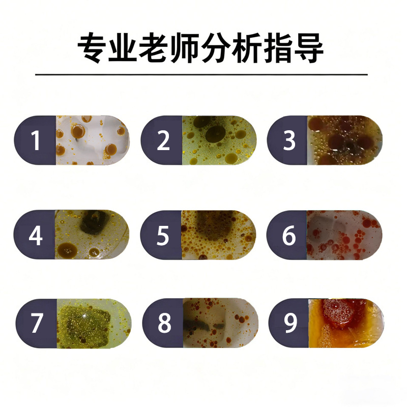 Taiwan Probiotic Grain & Fruit Enzyme Powder — Fermented Botanical Drink Mix with Dietary Fiber quality and texture