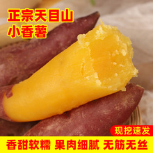 �R����ĿɽС�����S�İ�������5��ع��й��������r�r�Ҽt�����]