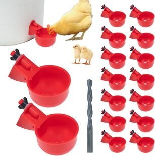 ���R�d�羳��Ʒ�u�������ˮ���r�u�B���ˮ���g���Bֳ�ԄӺ�ˮ��