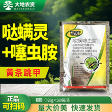 �R�� 45%�}�\���x���}�\�`�߲˸��{�S�l���׌���ș�������x���rș