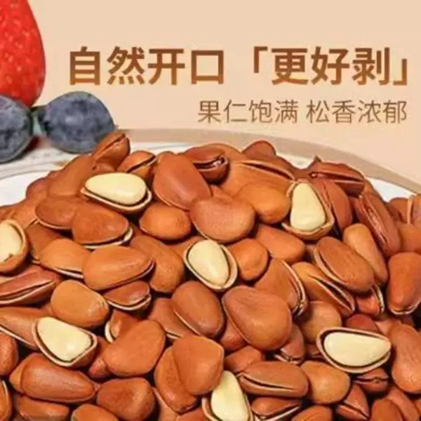 批发代发东北散装大果开口带壳松子小包装500g罐装坚果零食